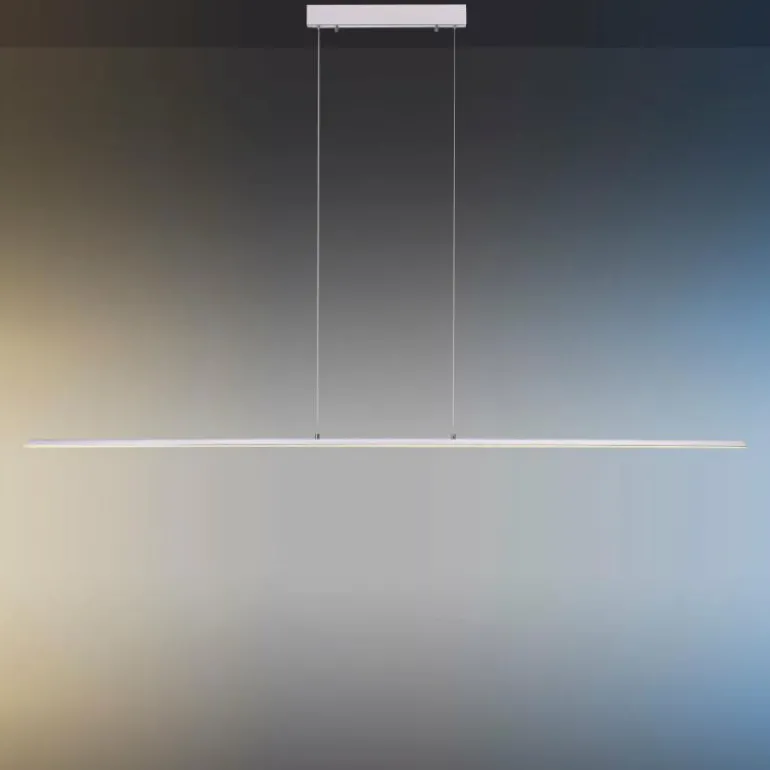 Suspension Paul Neuhaus PURE-LITE LED Acier inoxydable, 1 lumière