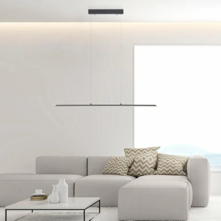 Suspension Paul Neuhaus PURE-LITE LED Anthracite, 1 lumière