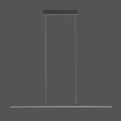 Suspension Paul Neuhaus PURE-LITE LED Anthracite, 1 lumière