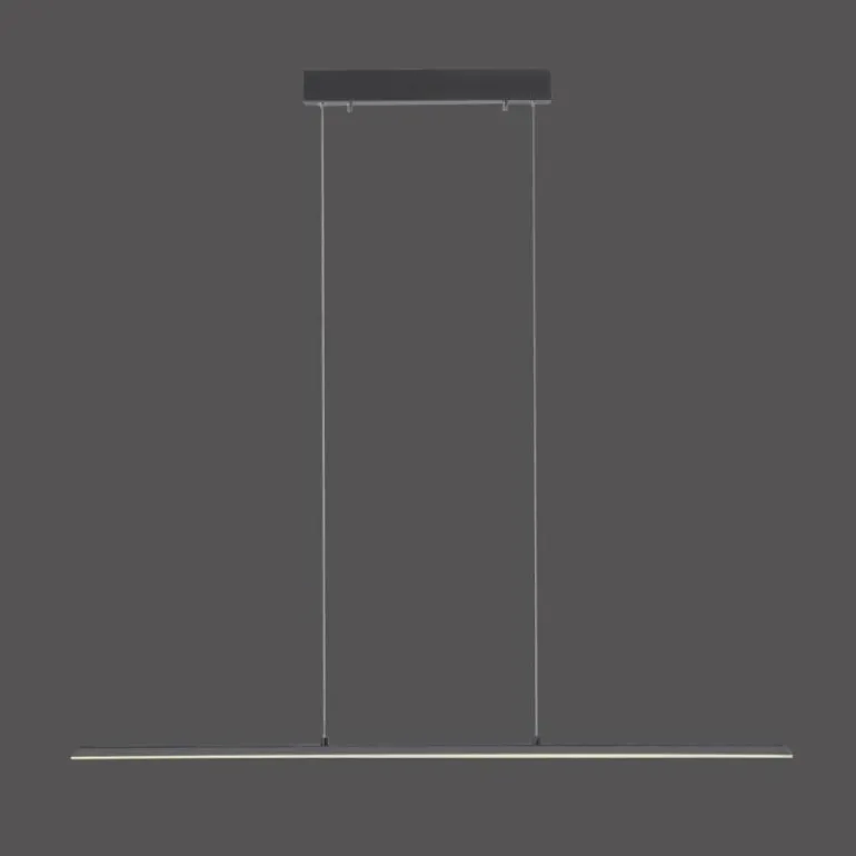 Suspension Paul Neuhaus PURE-LITE LED Anthracite, 1 lumière