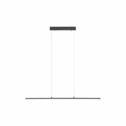 Suspension Paul Neuhaus PURE-LITE LED Anthracite, 1 lumière