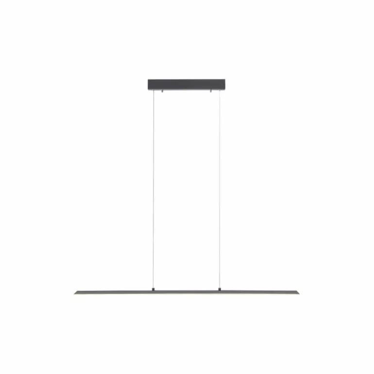 Suspension Paul Neuhaus PURE-LITE LED Anthracite, 1 lumière