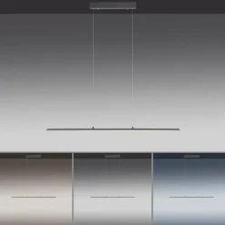 Suspension Paul Neuhaus PURE-LITE LED Anthracite, 1 lumière