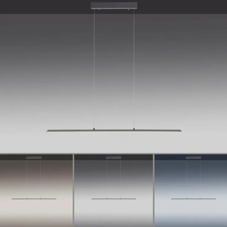 Suspension Paul Neuhaus PURE-LITE LED Anthracite, 1 lumière