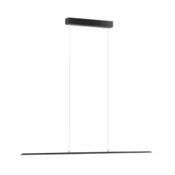 Suspension Paul Neuhaus PURE-LITE LED Anthracite, 1 lumière