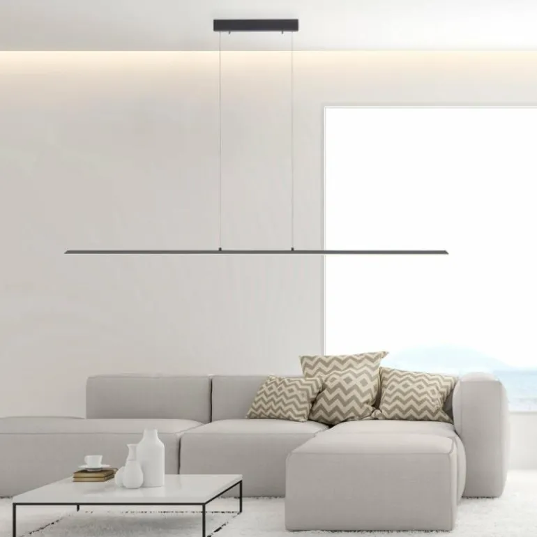 Suspension Paul Neuhaus PURE-LITE LED Anthracite, 1 lumière