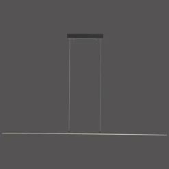 Suspension Paul Neuhaus PURE-LITE LED Anthracite, 1 lumière