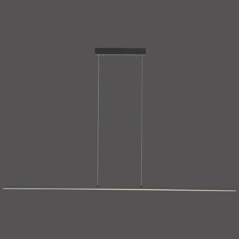 Suspension Paul Neuhaus PURE-LITE LED Anthracite, 1 lumière