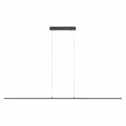 Suspension Paul Neuhaus PURE-LITE LED Anthracite, 1 lumière