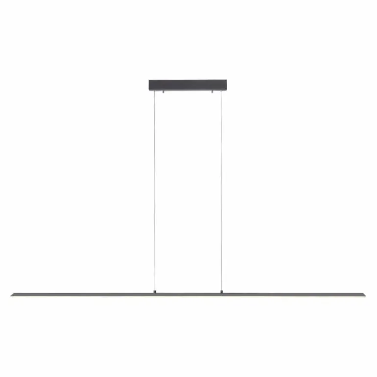 Suspension Paul Neuhaus PURE-LITE LED Anthracite, 1 lumière
