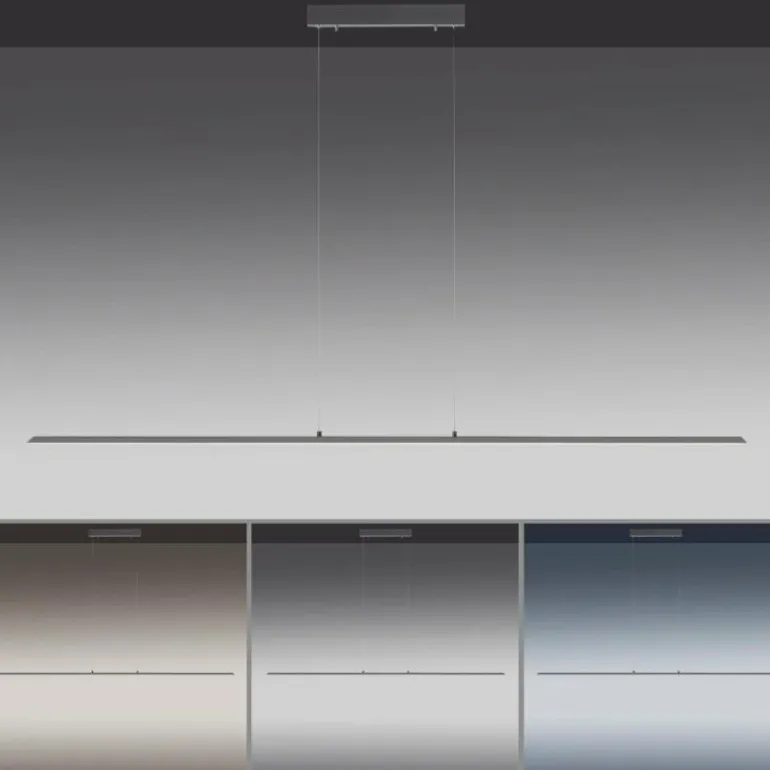 Suspension Paul Neuhaus PURE-LITE LED Anthracite, 1 lumière