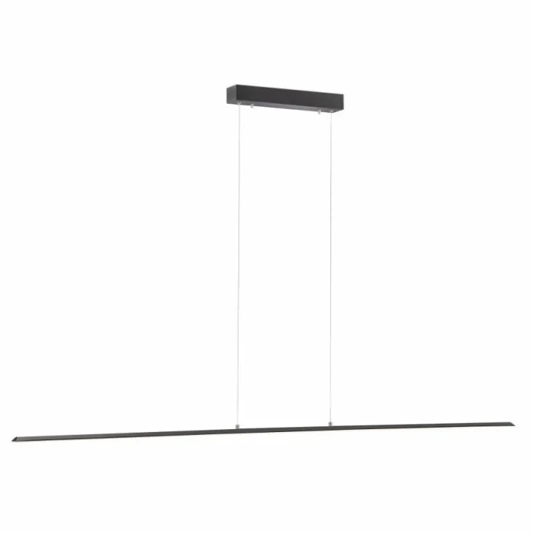 Suspension Paul Neuhaus PURE-LITE LED Anthracite, 1 lumière