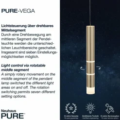 Suspension Paul Neuhaus PURE-VEGA LED Laiton, 9 lumières