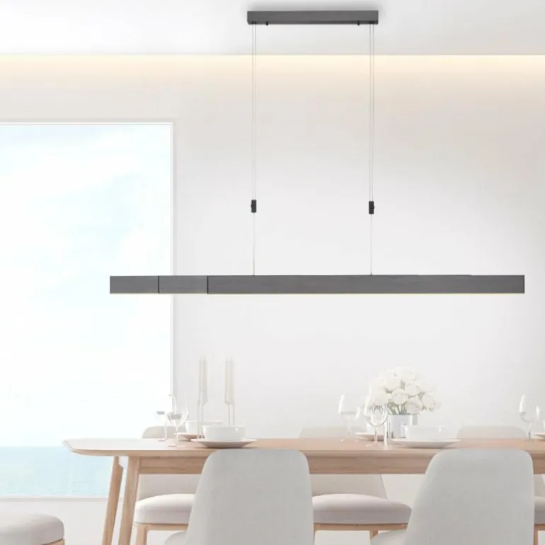 Suspension Paul Neuhaus PURE-MOTO LED Gris, 3 lumières, Télécommandes