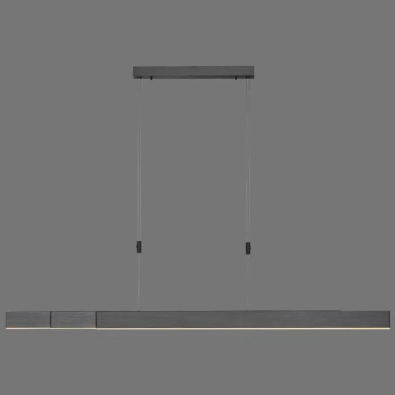 Suspension Paul Neuhaus PURE-MOTO LED Gris, 3 lumières, Télécommandes