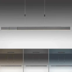 Suspension Paul Neuhaus PURE-MOTO LED Gris, 3 lumières, Télécommandes