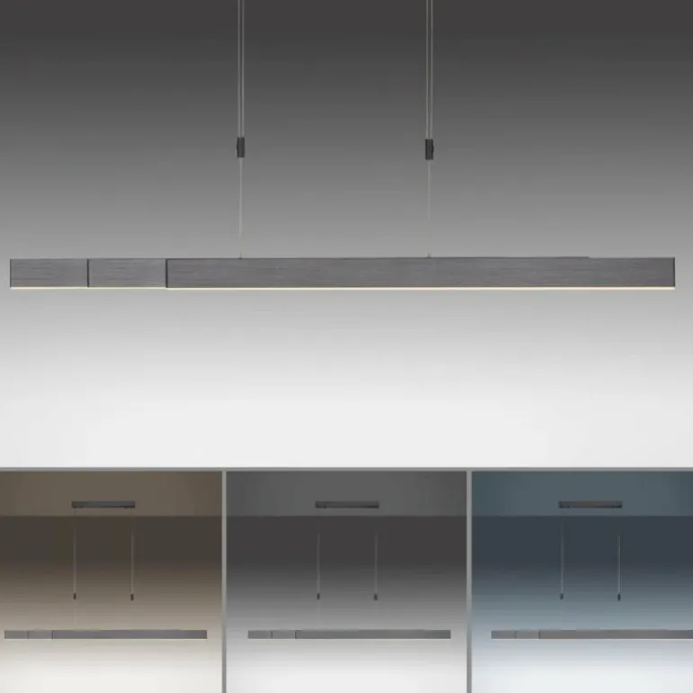 Suspension Paul Neuhaus PURE-MOTO LED Gris, 3 lumières, Télécommandes