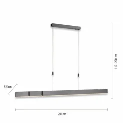 Suspension Paul Neuhaus PURE-MOTO LED Gris, 3 lumières, Télécommandes