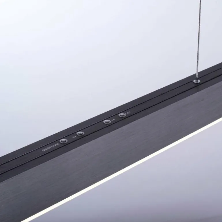 Suspension Paul Neuhaus PURE-MOTO LED Gris, 3 lumières, Télécommandes