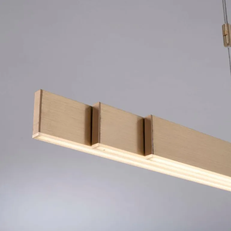 Suspension Paul Neuhaus PURE-MOTO LED Laiton, 3 lumières, Télécommandes