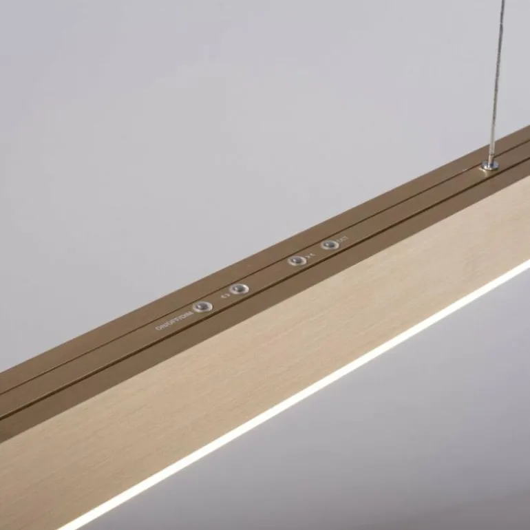 Suspension Paul Neuhaus PURE-MOTO LED Laiton, 3 lumières, Télécommandes