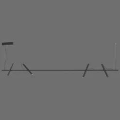 Suspension Paul Neuhaus PURE-TUTUA LED Noir, 4 lumières