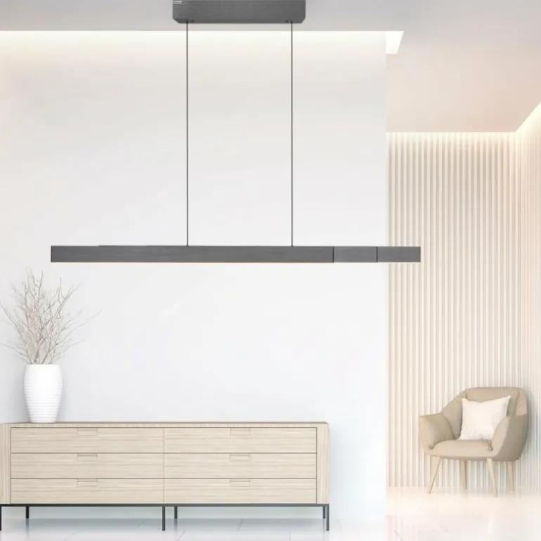 Suspension Paul Neuhaus PURE-MOTO-RISE LED Gris, 3 lumières, Télécommandes