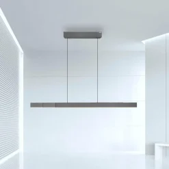 Suspension Paul Neuhaus PURE-MOTO-RISE LED Gris, 3 lumières, Télécommandes