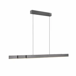 Suspension Paul Neuhaus PURE-MOTO-RISE LED Gris, 3 lumières, Télécommandes