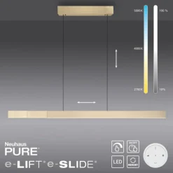 Suspension Paul Neuhaus PURE-MOTO-RISE LED Or, 3 lumières, Télécommandes