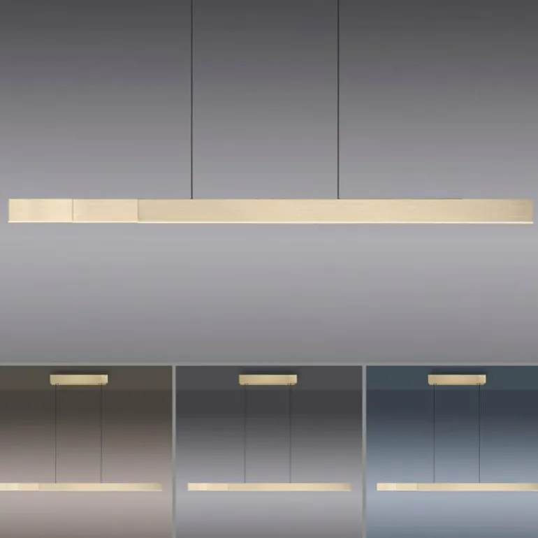 Suspension Paul Neuhaus PURE-MOTO-RISE LED Or, 3 lumières, Télécommandes