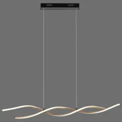 Suspension Paul Neuhaus POLINA LED Noir, 1 lumière