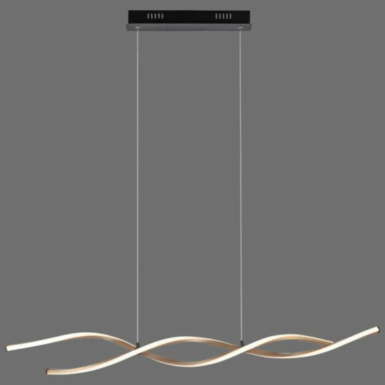 Suspension Paul Neuhaus POLINA LED Noir, 1 lumière