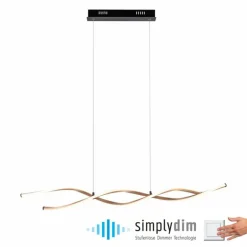 Suspension Paul Neuhaus POLINA LED Noir, 1 lumière