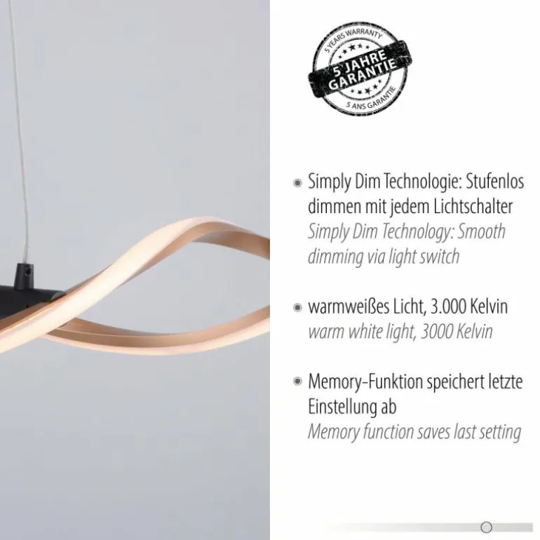 Suspension Paul Neuhaus POLINA LED Noir, 1 lumière