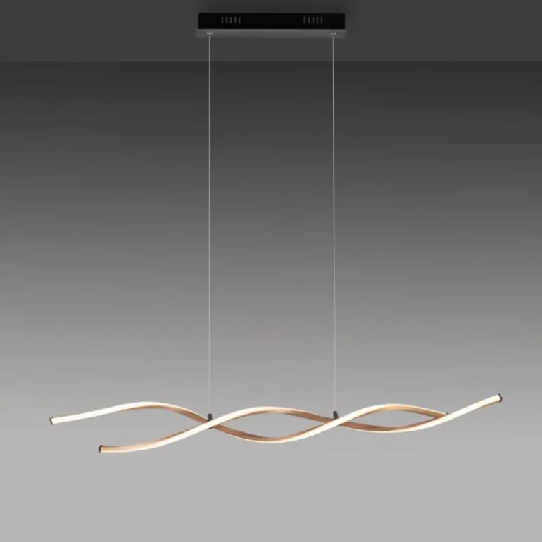 Suspension Paul Neuhaus POLINA LED Noir, 1 lumière