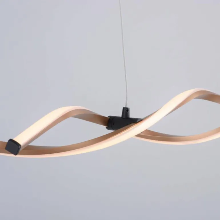 Suspension Paul Neuhaus POLINA LED Noir, 1 lumière