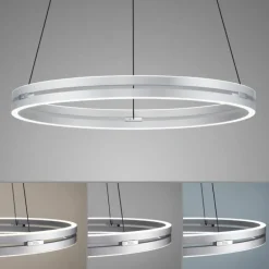 Suspension Paul Neuhaus PURE E-LOOP LED Argenté, 2 lumières, Télécommandes