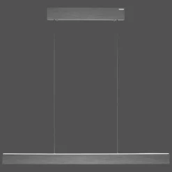 Suspension Paul Neuhaus PURE E-MOTION LED Gris, 1 lumière, Télécommandes