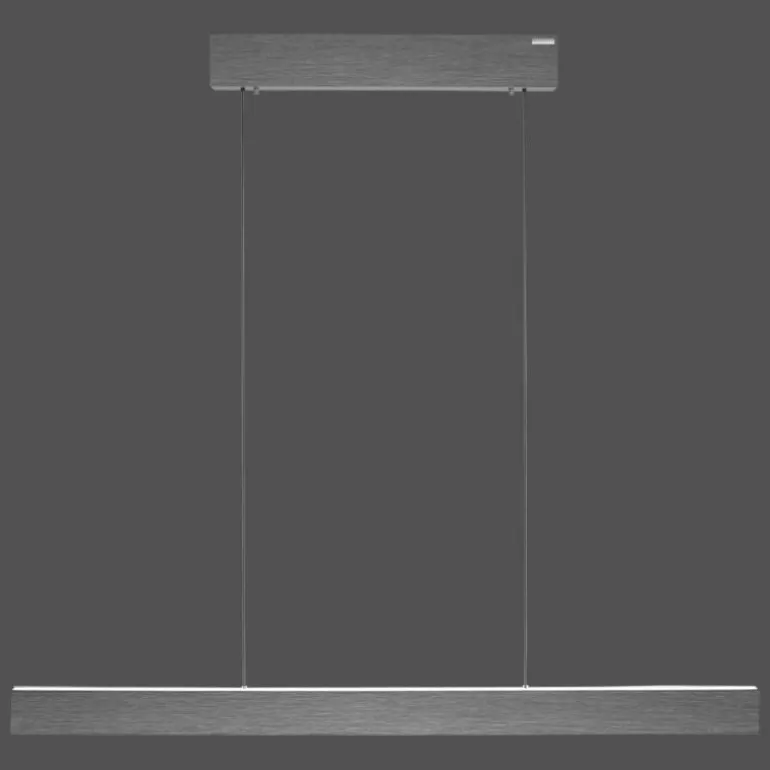 Suspension Paul Neuhaus PURE E-MOTION LED Gris, 1 lumière, Télécommandes