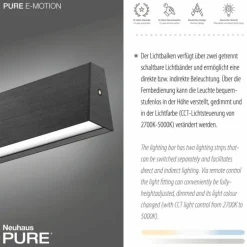 Suspension Paul Neuhaus PURE E-MOTION LED Gris, 1 lumière, Télécommandes