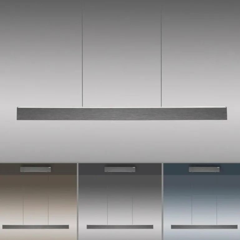 Suspension Paul Neuhaus PURE E-MOTION LED Gris, 1 lumière, Télécommandes