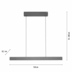 Suspension Paul Neuhaus PURE E-MOTION LED Gris, 1 lumière, Télécommandes