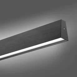 Suspension Paul Neuhaus PURE E-MOTION LED Gris, 1 lumière, Télécommandes