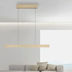 Suspension Paul Neuhaus PURE E-MOTION LED Or, 1 lumière, Télécommandes