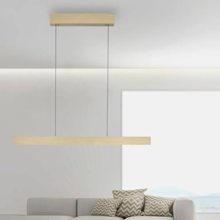 Suspension Paul Neuhaus PURE E-MOTION LED Or, 1 lumière, Télécommandes