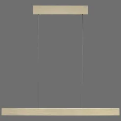 Suspension Paul Neuhaus PURE E-MOTION LED Or, 1 lumière, Télécommandes