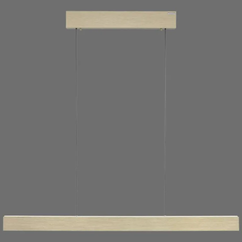 Suspension Paul Neuhaus PURE E-MOTION LED Or, 1 lumière, Télécommandes