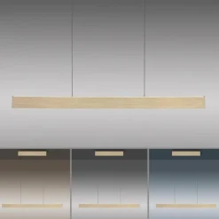 Suspension Paul Neuhaus PURE E-MOTION LED Or, 1 lumière, Télécommandes