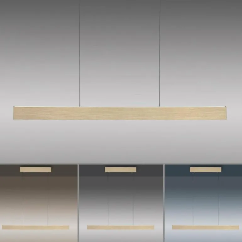 Suspension Paul Neuhaus PURE E-MOTION LED Or, 1 lumière, Télécommandes